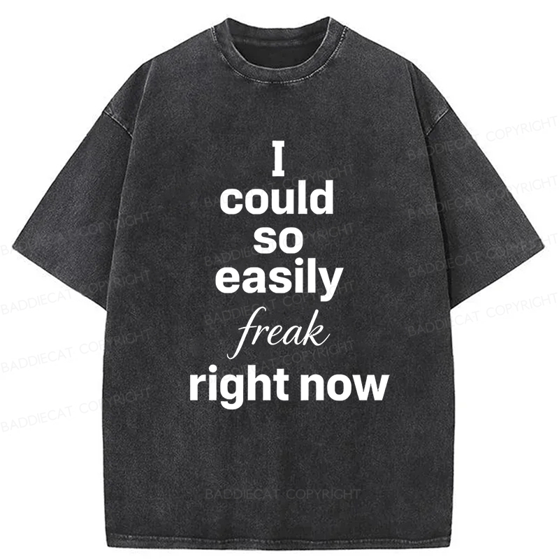 Baddiecat I Could So Easily Freak Right Now Washed T-shirt