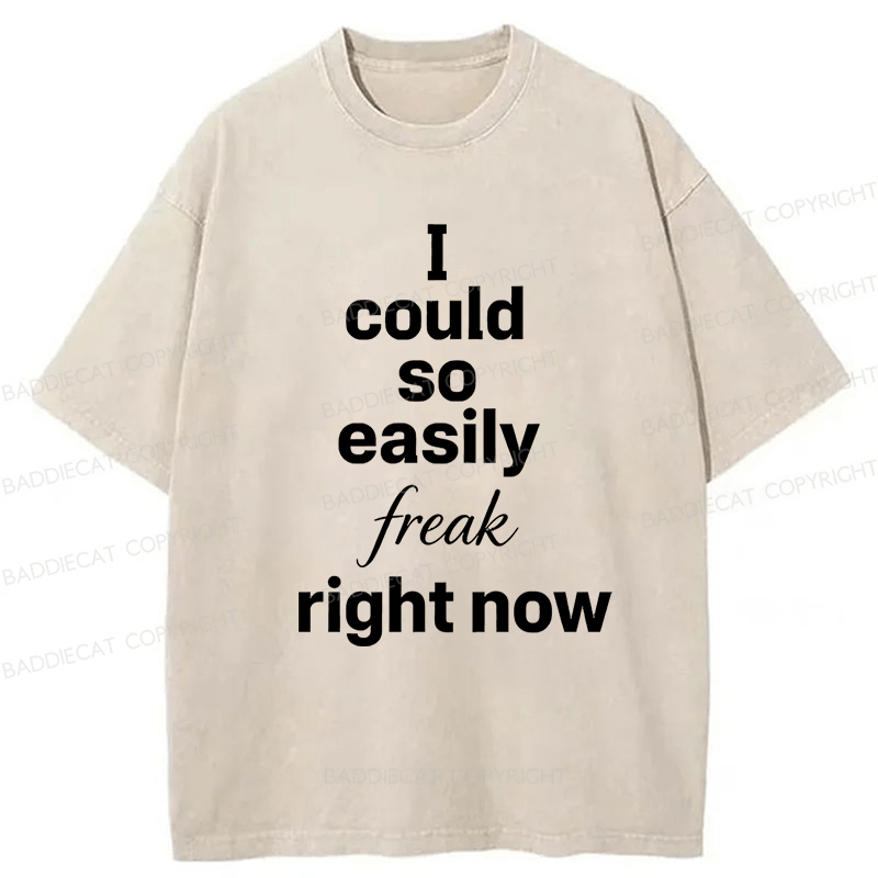 Baddiecat I Could So Easily Freak Right Now Washed T-shirt