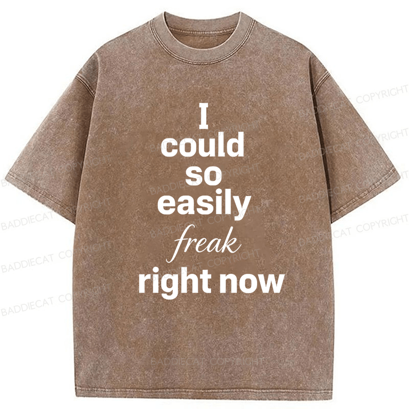 Baddiecat I Could So Easily Freak Right Now Washed T-shirt