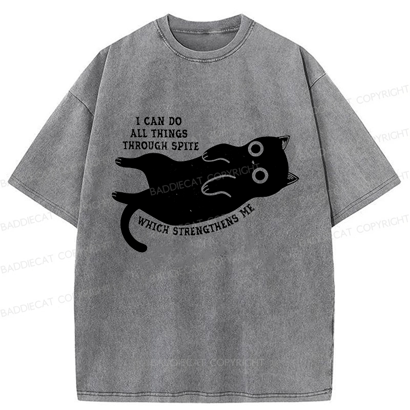Baddiecat I Can Do All Things Spiteful Cat Washed T-shirt