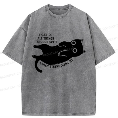 Baddiecat I Can Do All Things Spiteful Cat Washed T-shirt