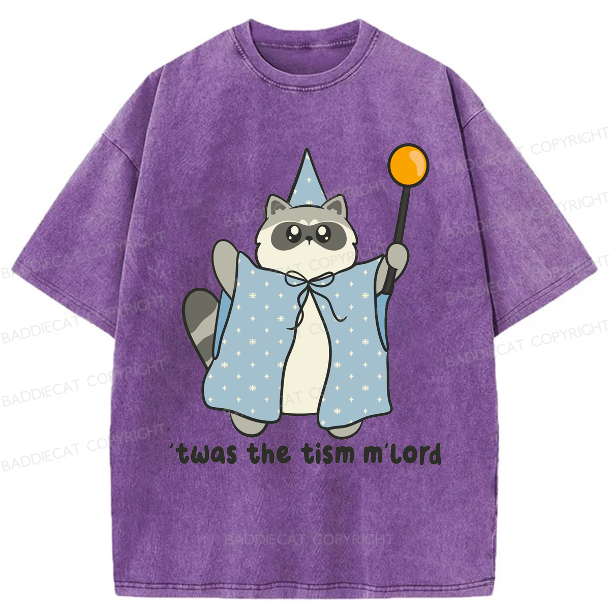 Baddiecat Twas The Tism M'lord Washed T-shirt