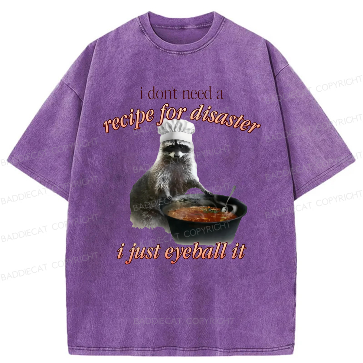 Baddiecat I Don't Need A Recipe For Disaster Washed T-shirt
