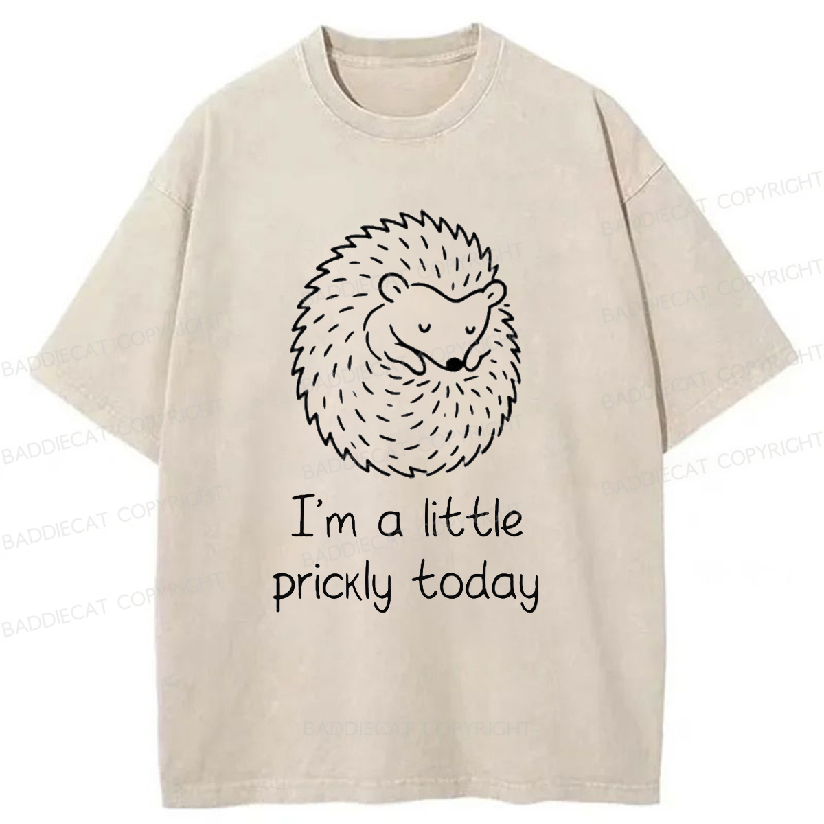 Baddiecat I'm A Little Prickly Today Washed T-shirt