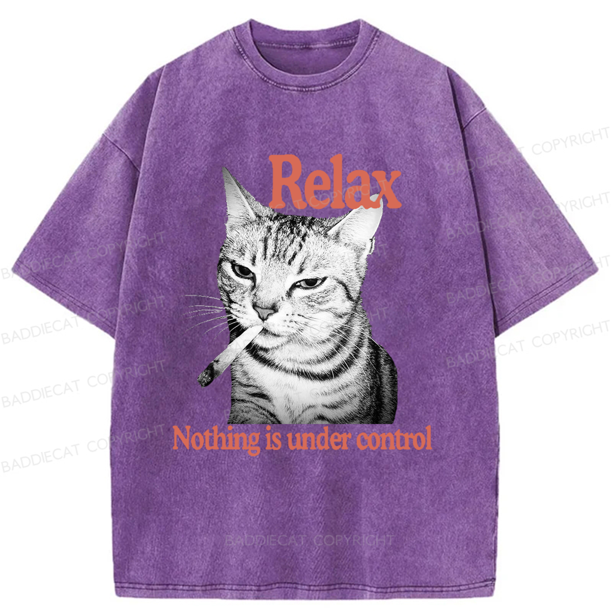 Baddiecat Cat Relax Nothing Is Under Control Washed T-shirt