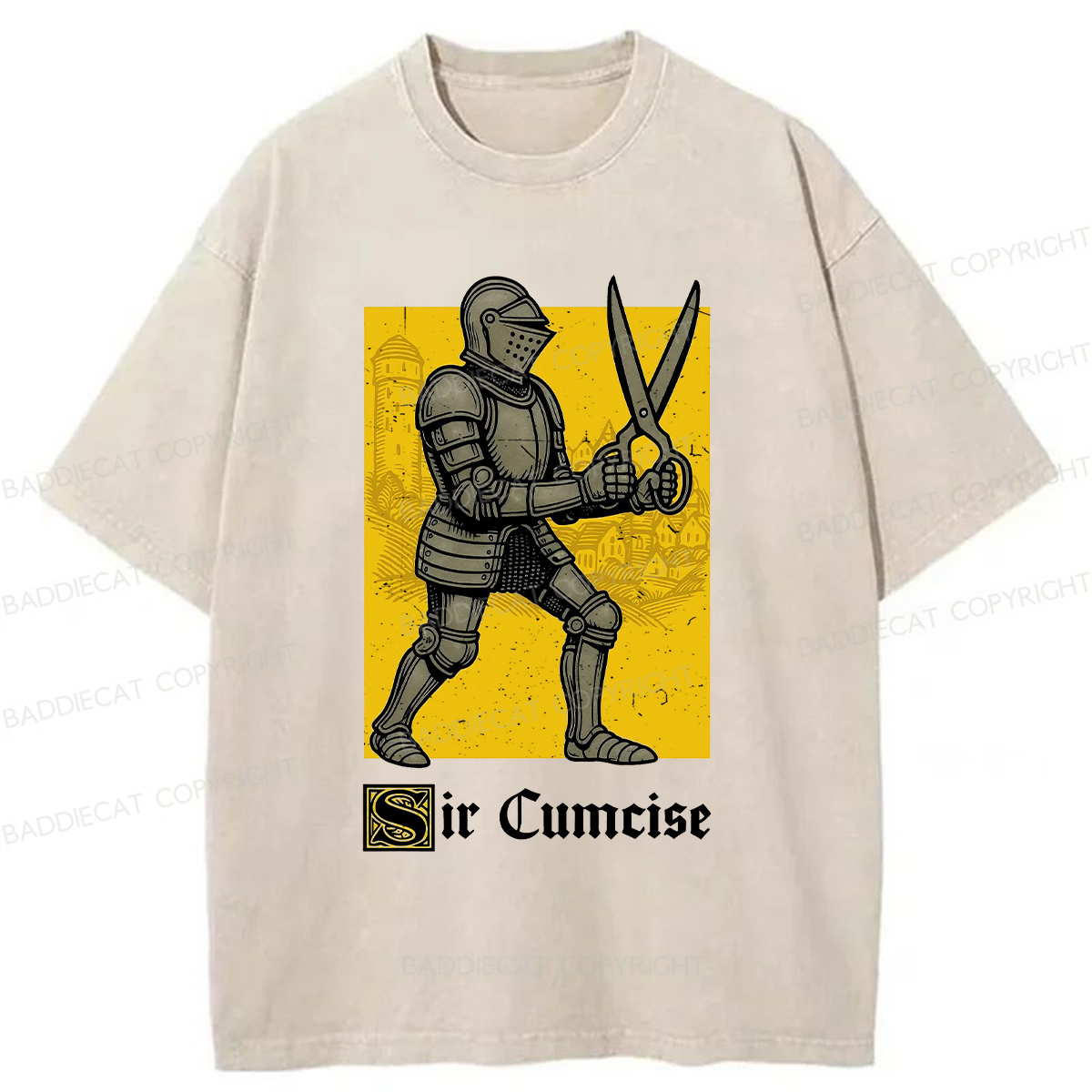 Baddiecat Humor Knight Washed T-shirt