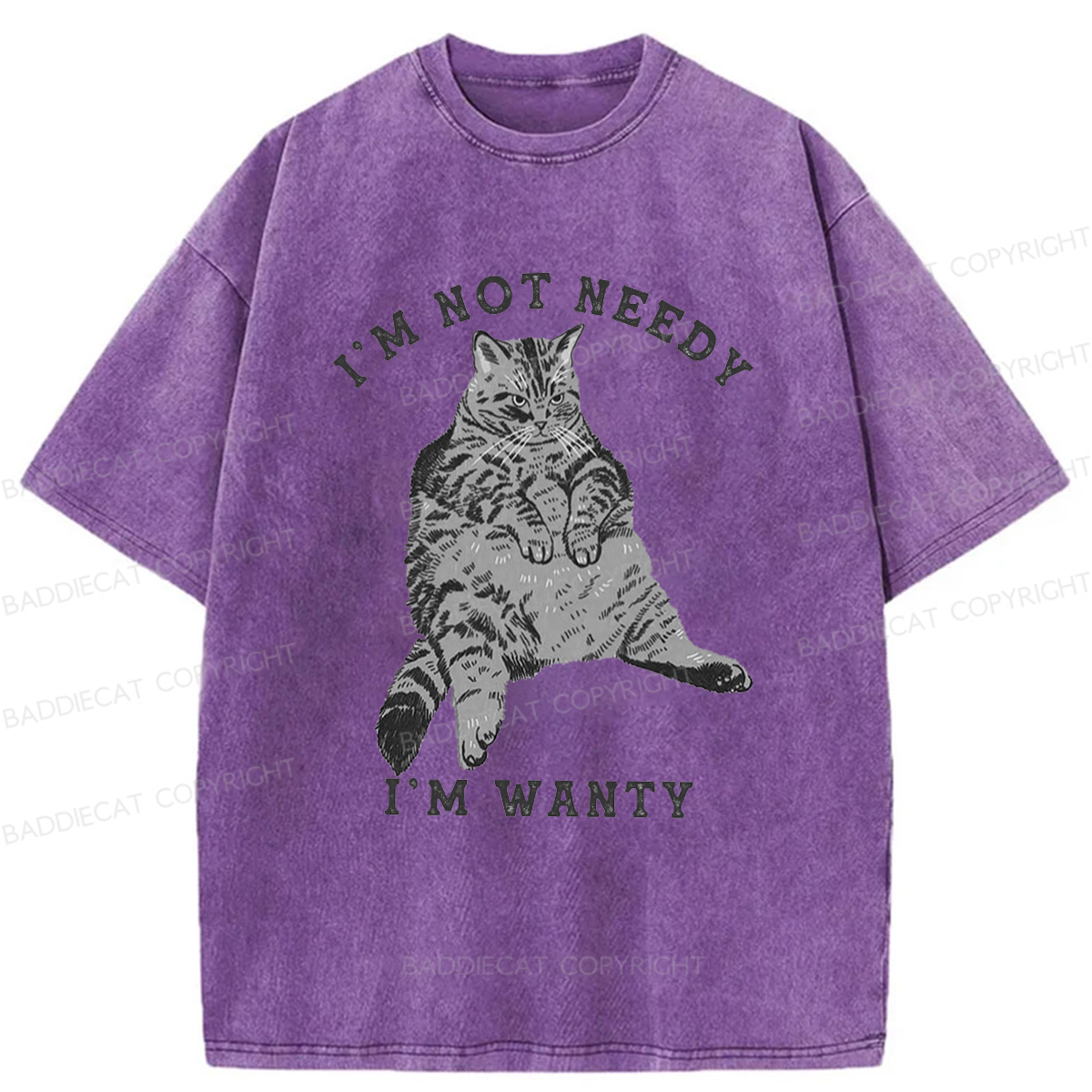 Baddiecat I Am Not Needy I Am Wanty Washed T-shirt