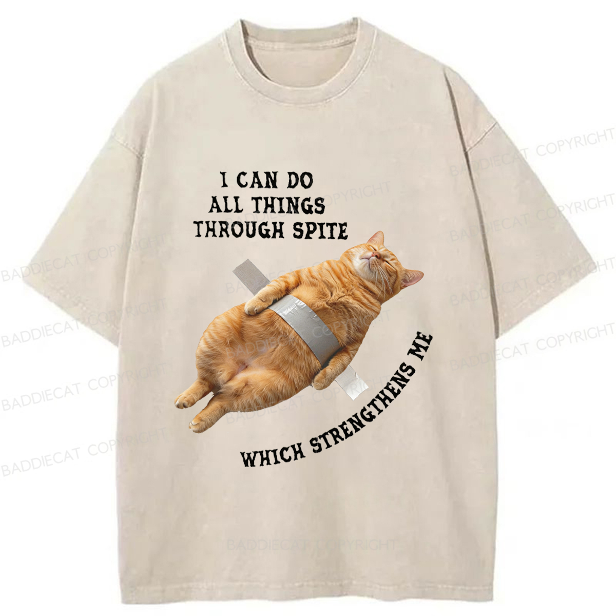 Baddiecat All-powerful Cat Washed T-shirt