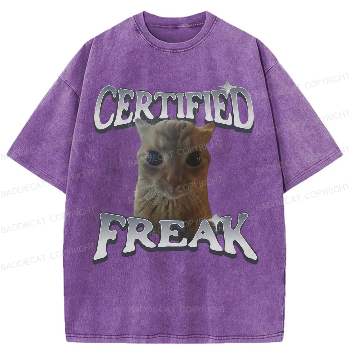 Baddiecat Certified Freak Funny Cat Washed T-shirt