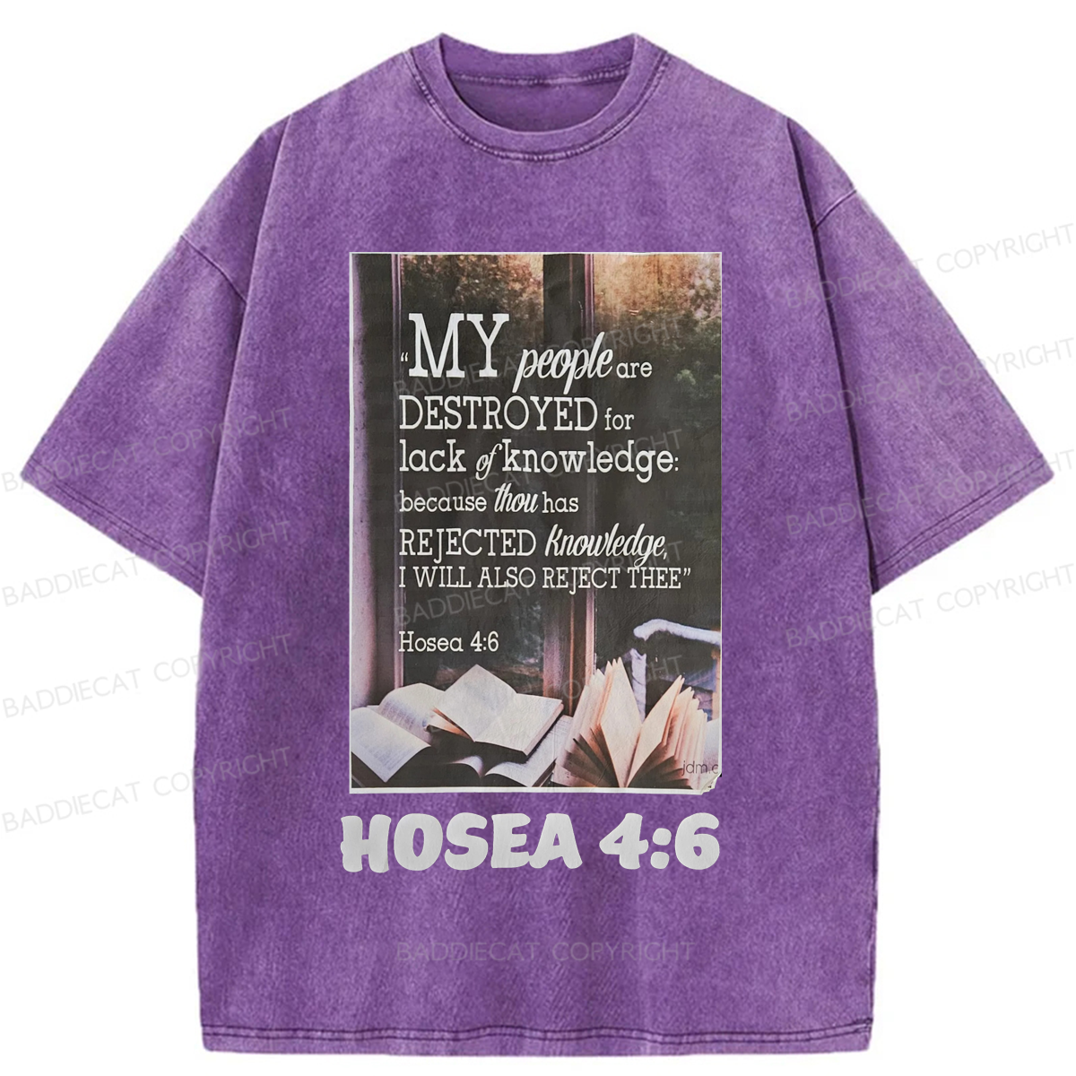 Baddiecat My People Have Been Destroyed Washed T-shirt