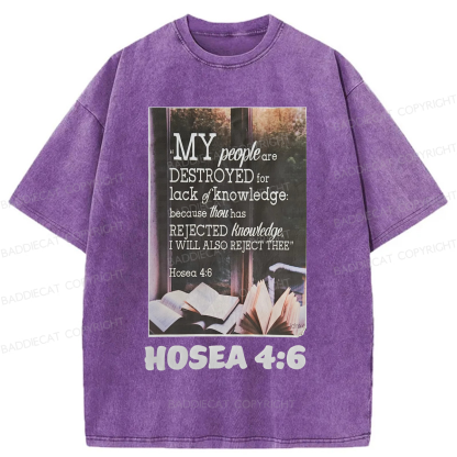 Baddiecat My People Have Been Destroyed Washed T-shirt