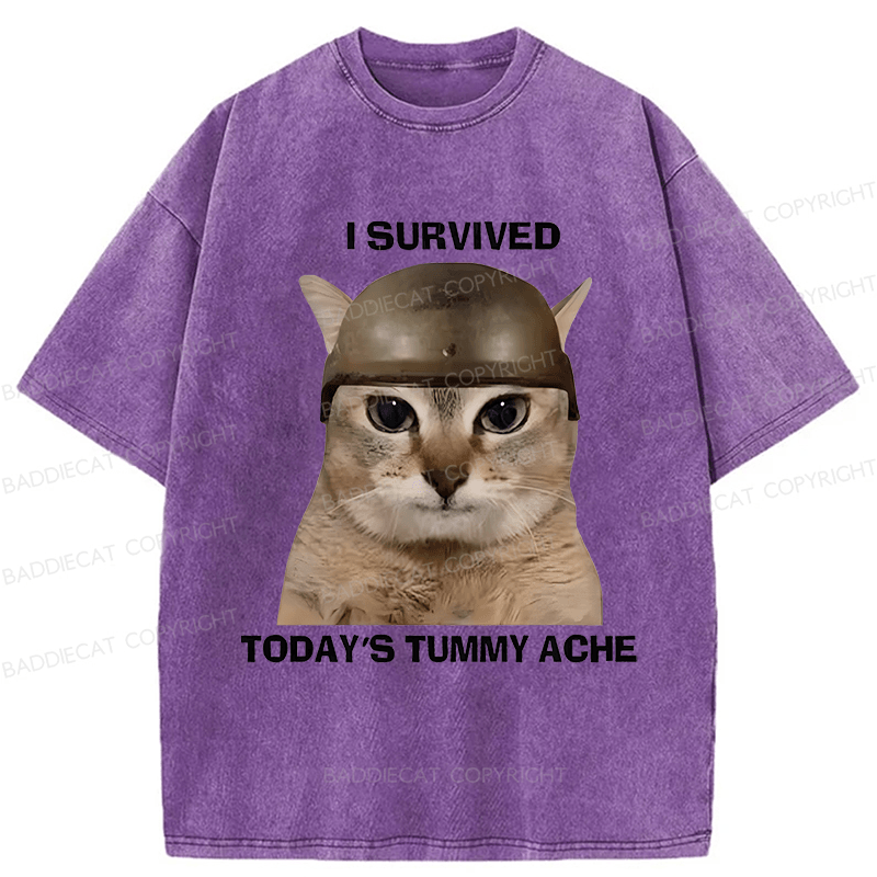 Baddiecat I Survived Today's Tummy Ache Washed T-shirt