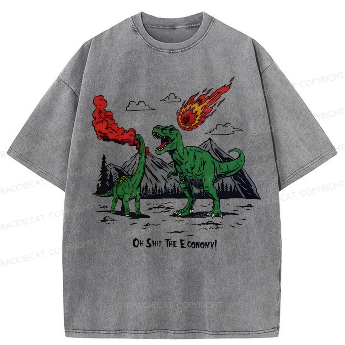 Baddiecat Funny Dinosaur Economy Washed T-shirt
