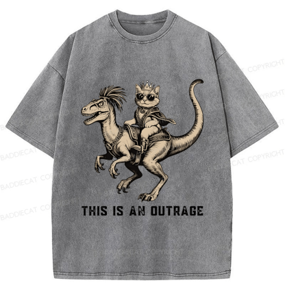 Baddiecat Princess Donut And Mongo Washed T-shirt