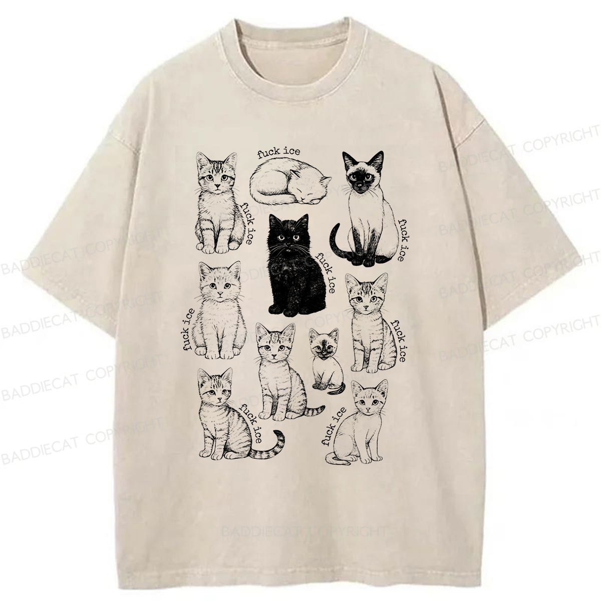 Baddiecat Don't Have Ice Cube Cats Washed T-shirt