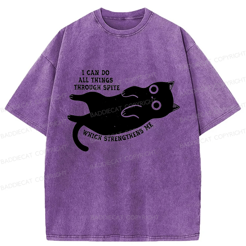 Baddiecat I Can Do All Things Spiteful Cat Washed T-shirt