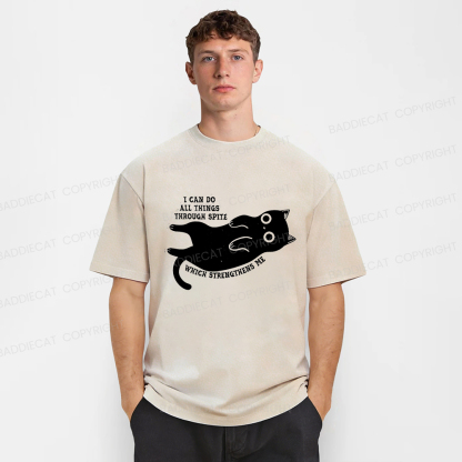 Baddiecat I Can Do All Things Spiteful Cat Washed T-shirt