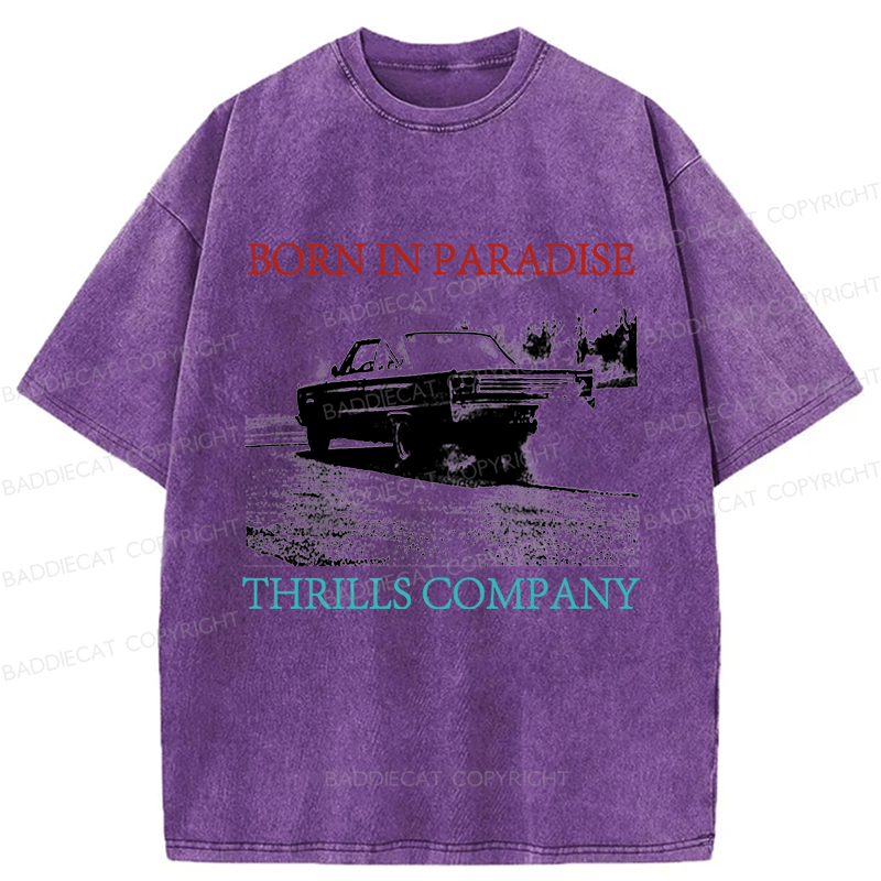 Baddiecat Thrills Metal Dust Washed T-shirt