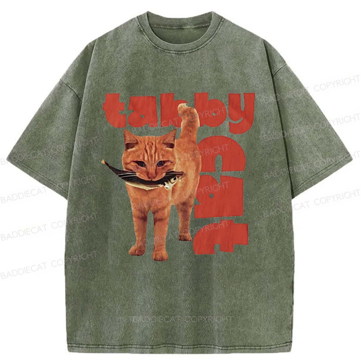 Baddiecat Tabby Cat Washed T-shirt