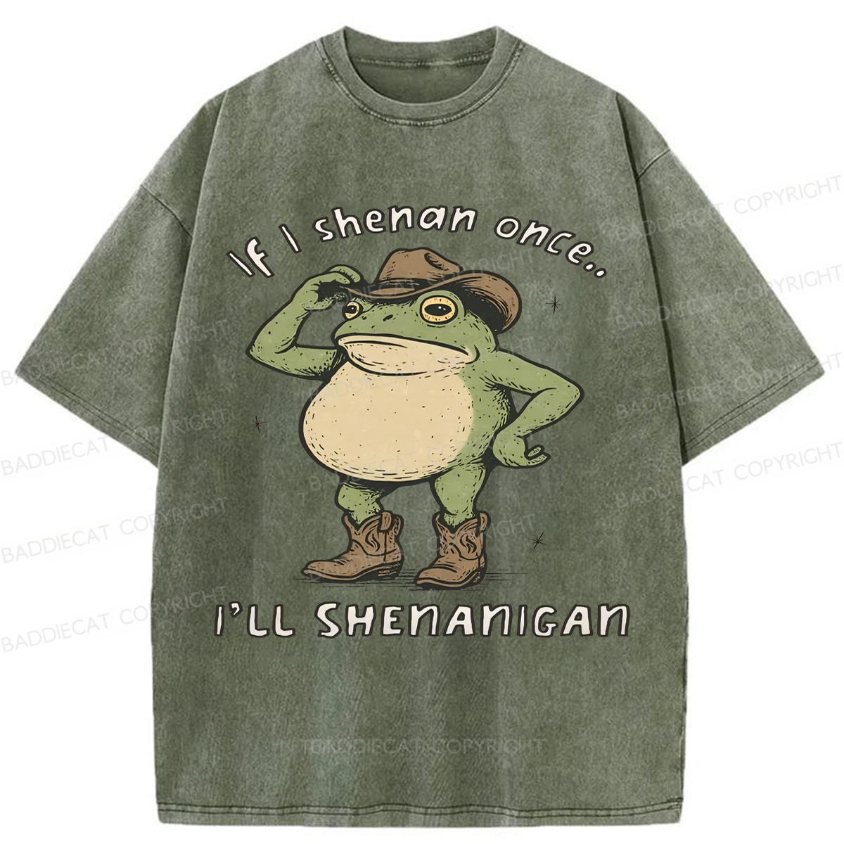 Baddiecat If I Shenan Once I'll Shenanigan Washed T-shirt