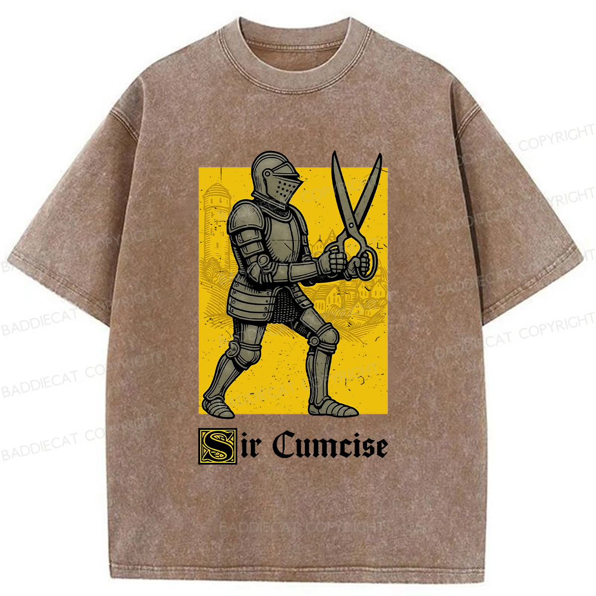 Baddiecat Humor Knight Washed T-shirt