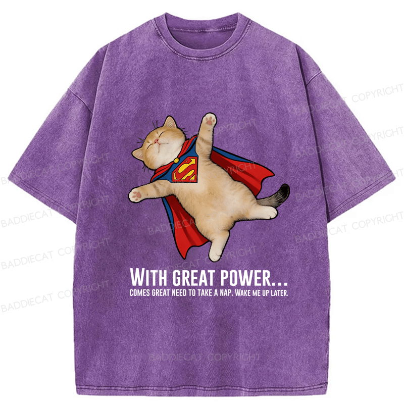 Baddiecat Cat Sleeping In Funny Washed T-shirt