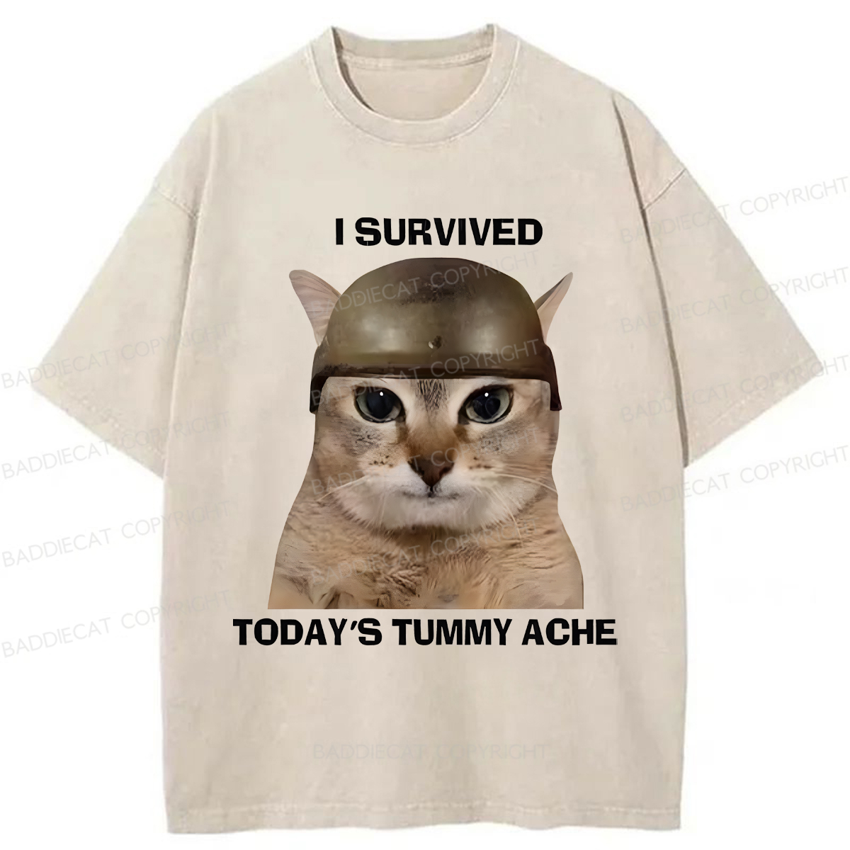 Baddiecat I Survived Today's Tummy Ache Washed T-shirt