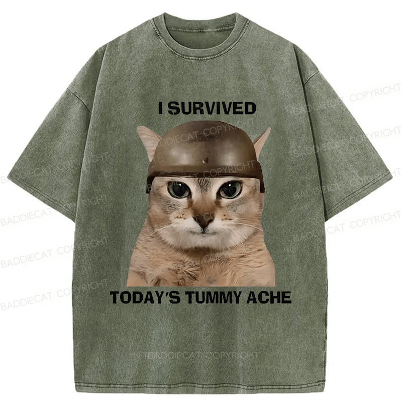 Baddiecat I Survived Today's Tummy Ache Washed T-shirt