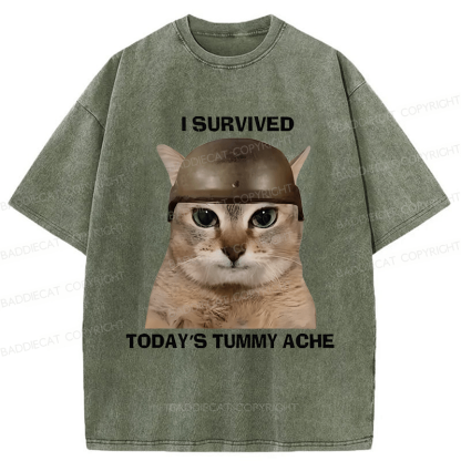 Baddiecat I Survived Today's Tummy Ache Washed T-shirt