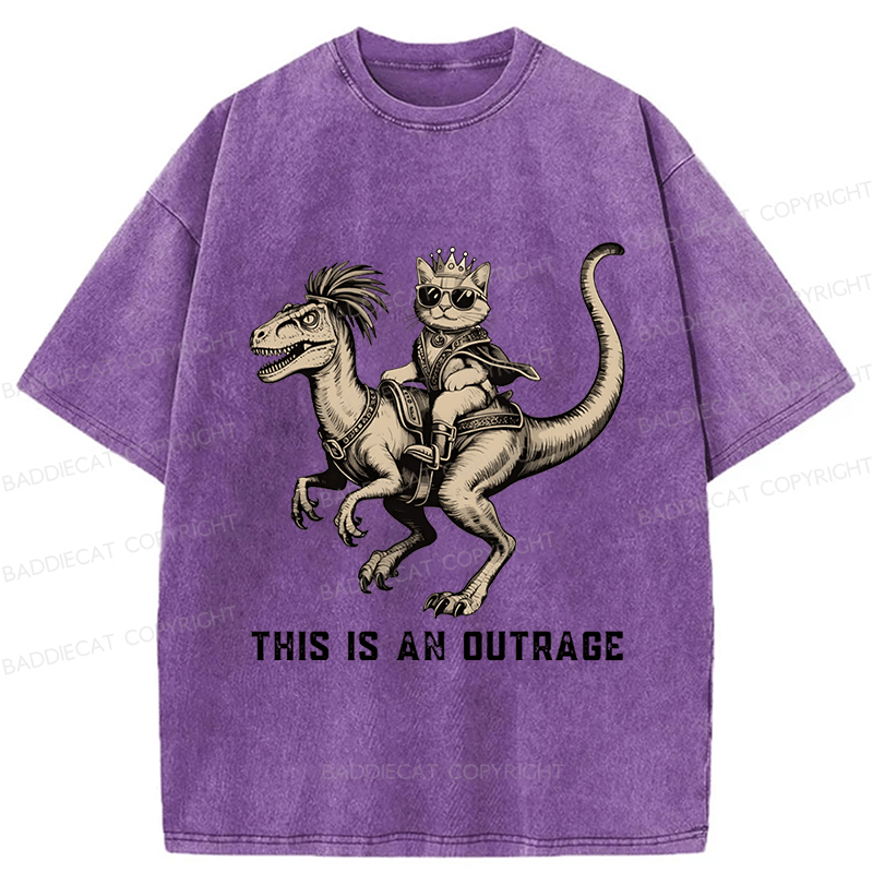 Baddiecat Princess Donut And Mongo Washed T-shirt