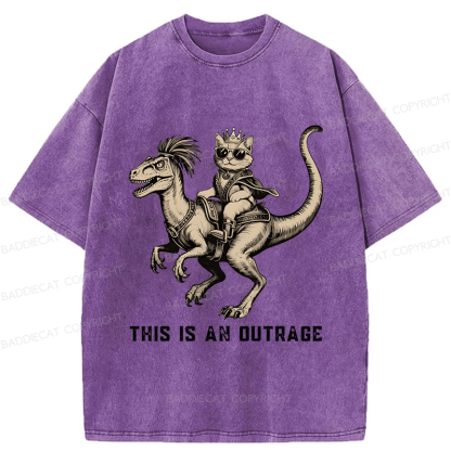 Baddiecat Princess Donut And Mongo Washed T-shirt