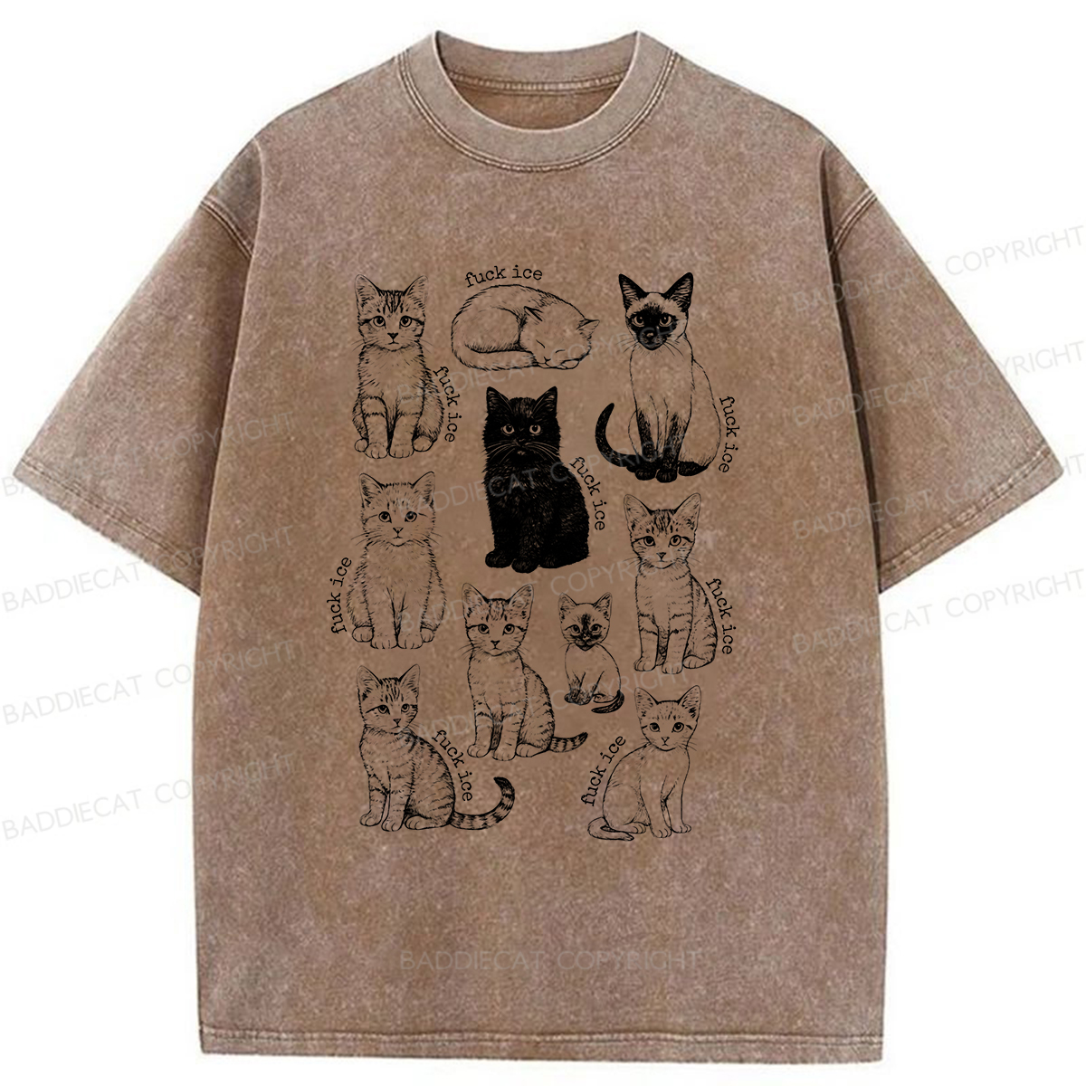 Baddiecat Don't Have Ice Cube Cats Washed T-shirt