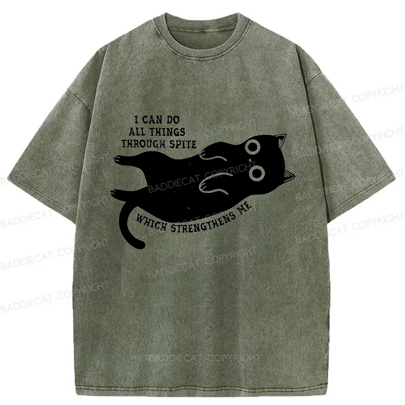 Baddiecat I Can Do All Things Spiteful Cat Washed T-shirt