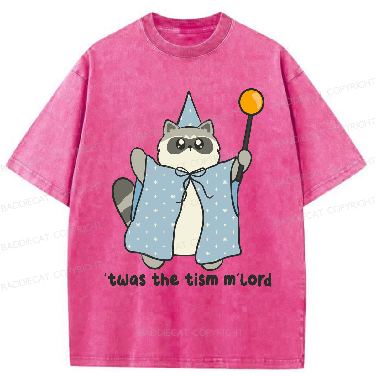 Baddiecat Twas The Tism M'lord Washed T-shirt