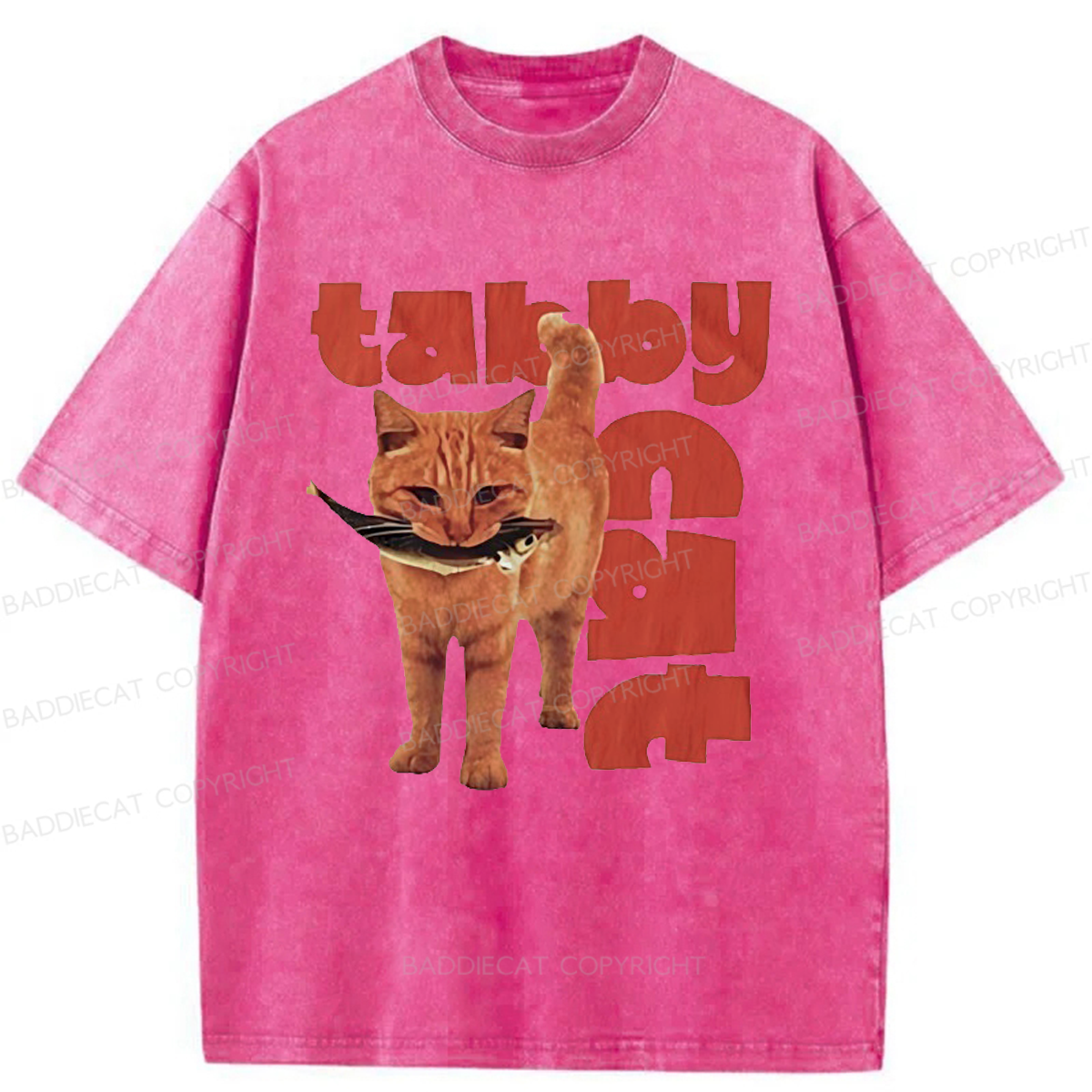 Baddiecat Tabby Cat Washed T-shirt