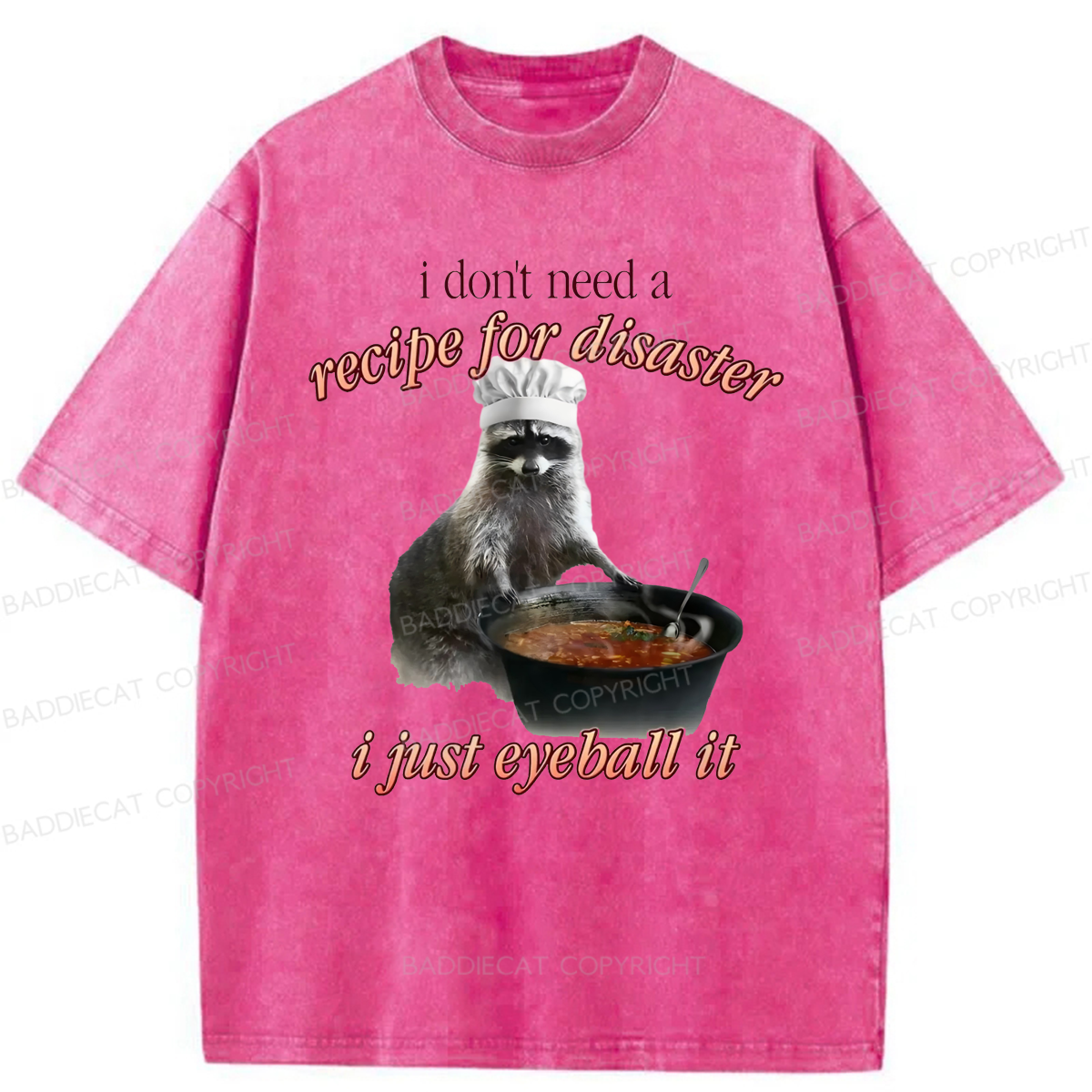 Baddiecat I Don't Need A Recipe For Disaster Washed T-shirt