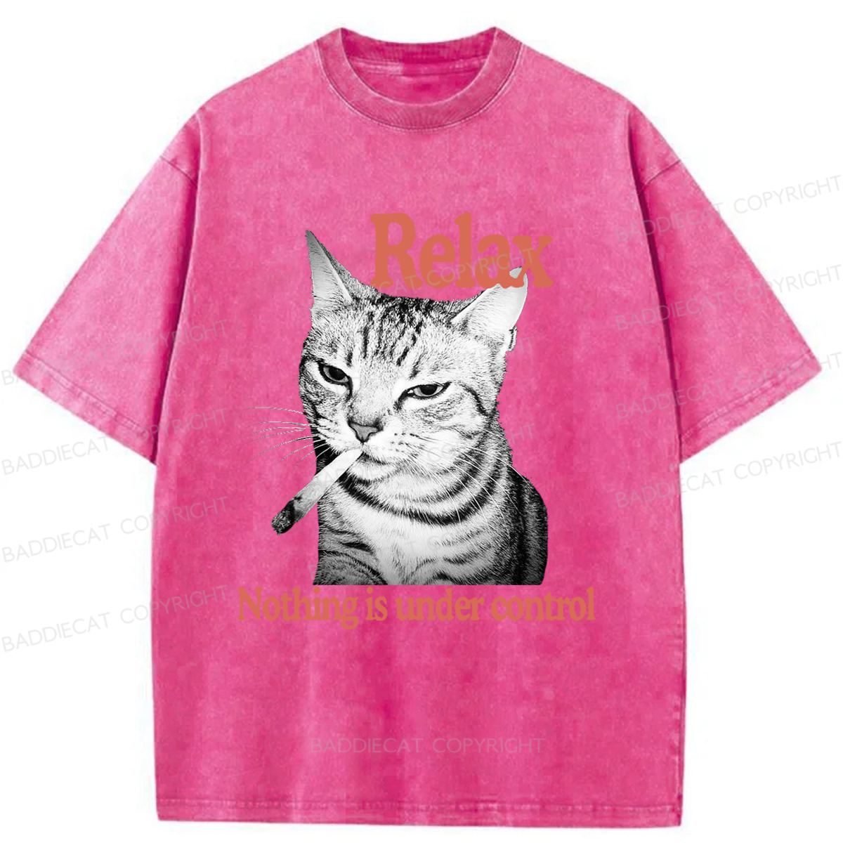 Baddiecat Cat Relax Nothing Is Under Control Washed T-shirt
