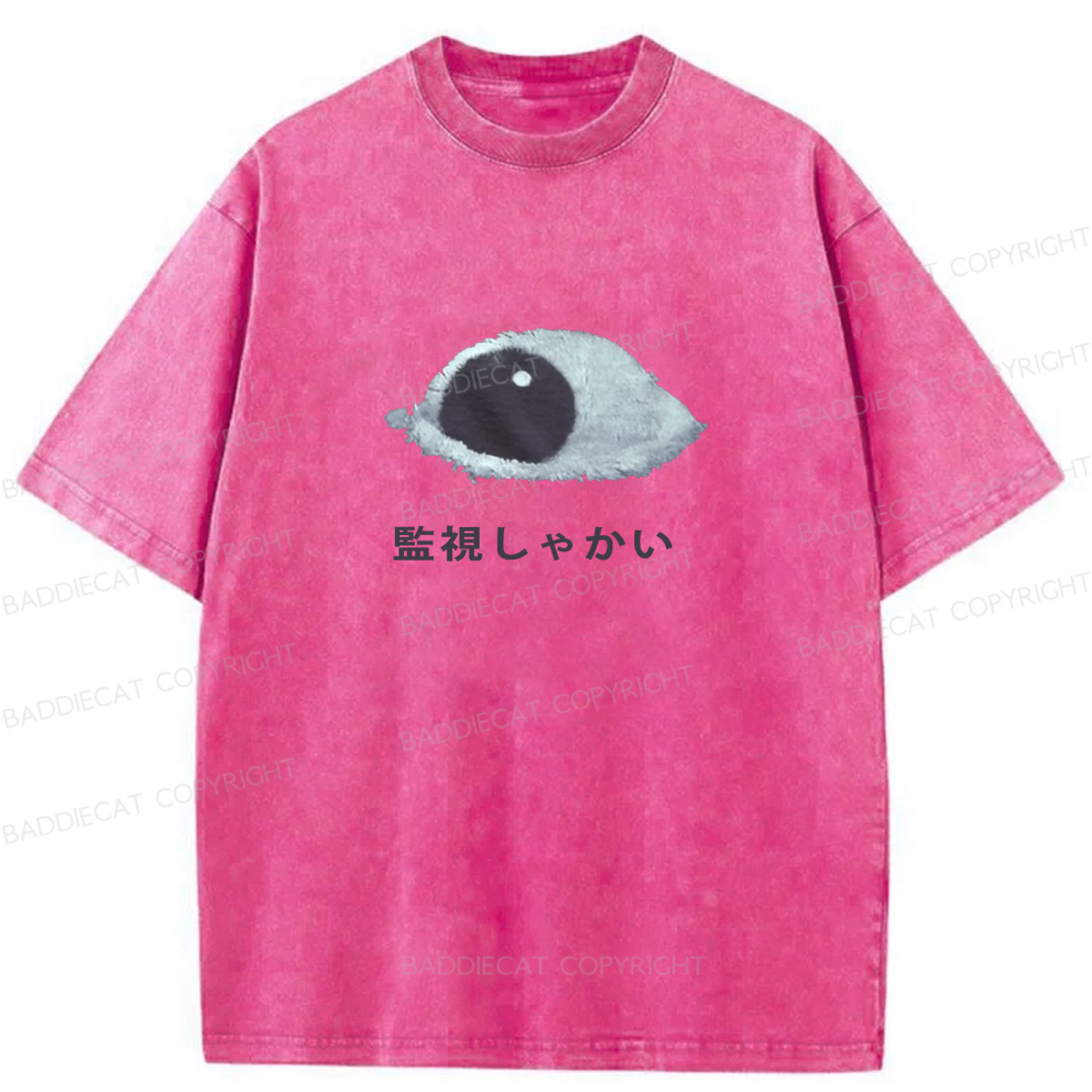 Baddiecat Keep Watching Washed T-shirt