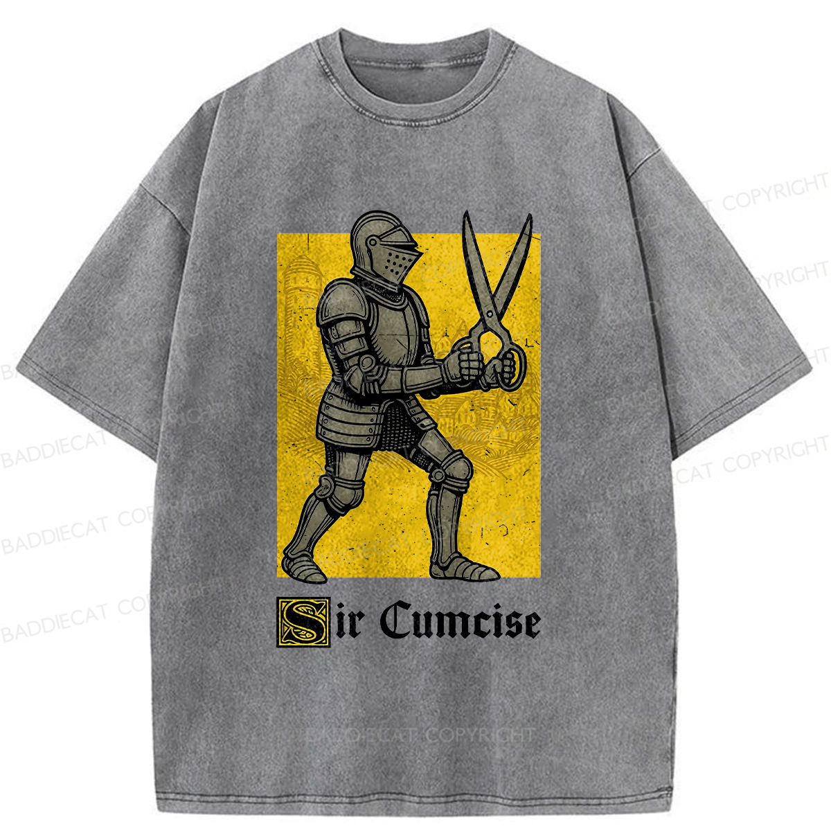 Baddiecat Humor Knight Washed T-shirt