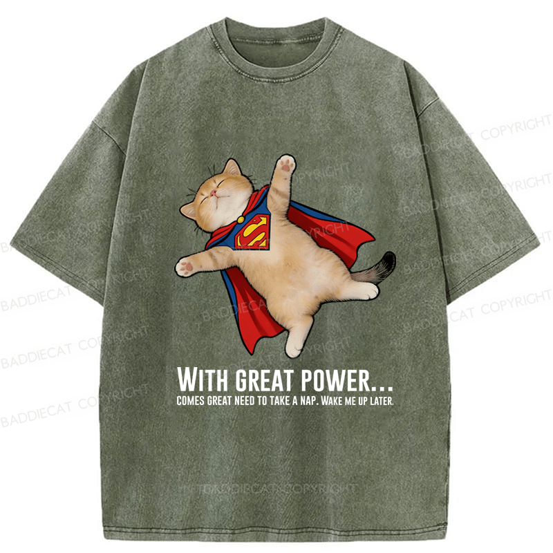Baddiecat Cat Sleeping In Funny Washed T-shirt