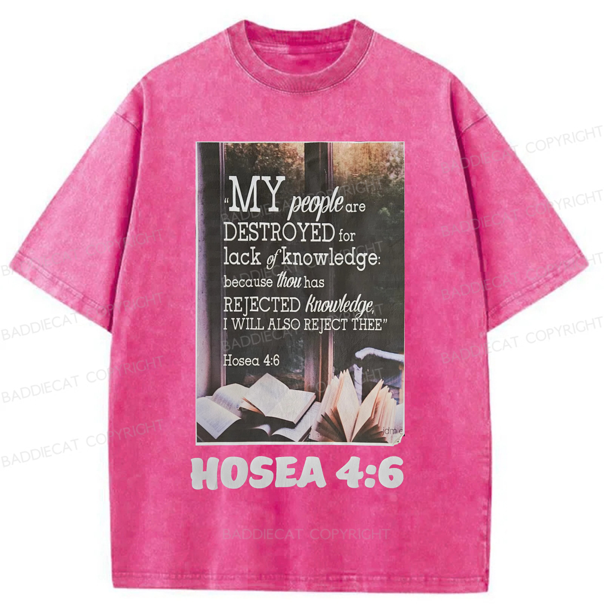 Baddiecat My People Have Been Destroyed Washed T-shirt