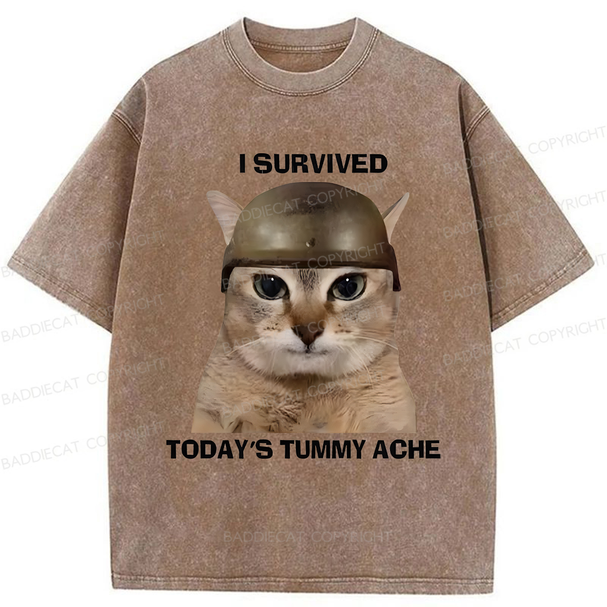 Baddiecat I Survived Today's Tummy Ache Washed T-shirt