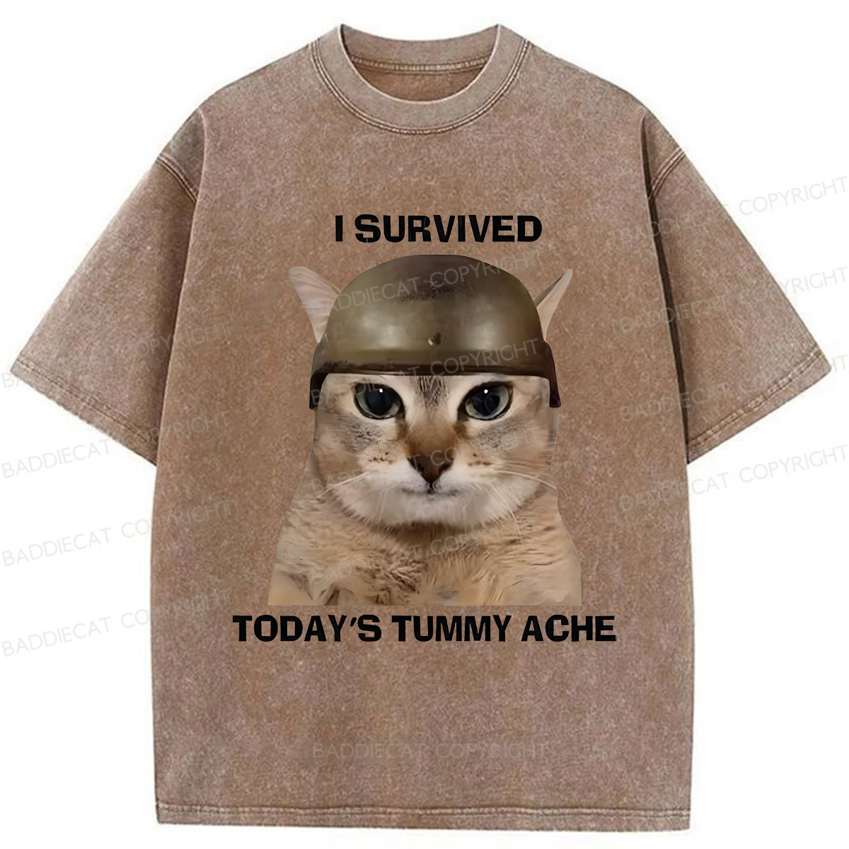 Baddiecat I Survived Today's Tummy Ache Washed T-shirt