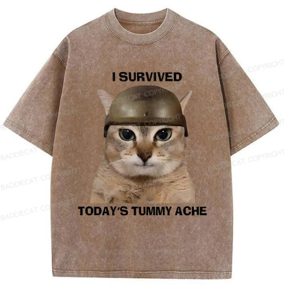 Baddiecat I Survived Today's Tummy Ache Washed T-shirt