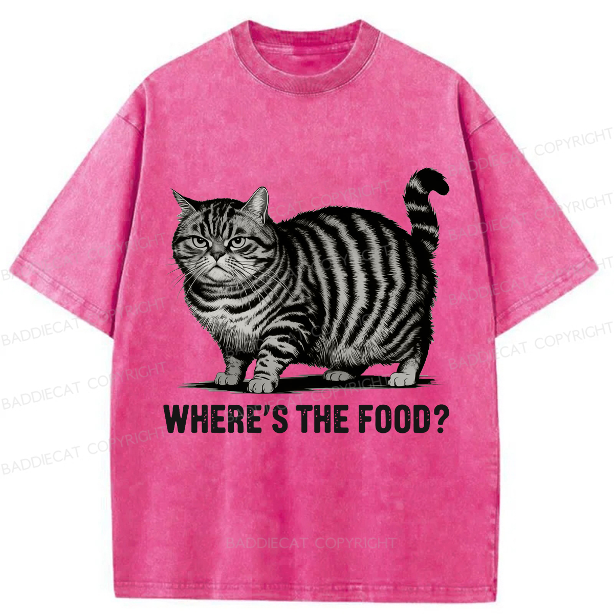 Baddiecat Funny Fat Cat Washed T-shirt