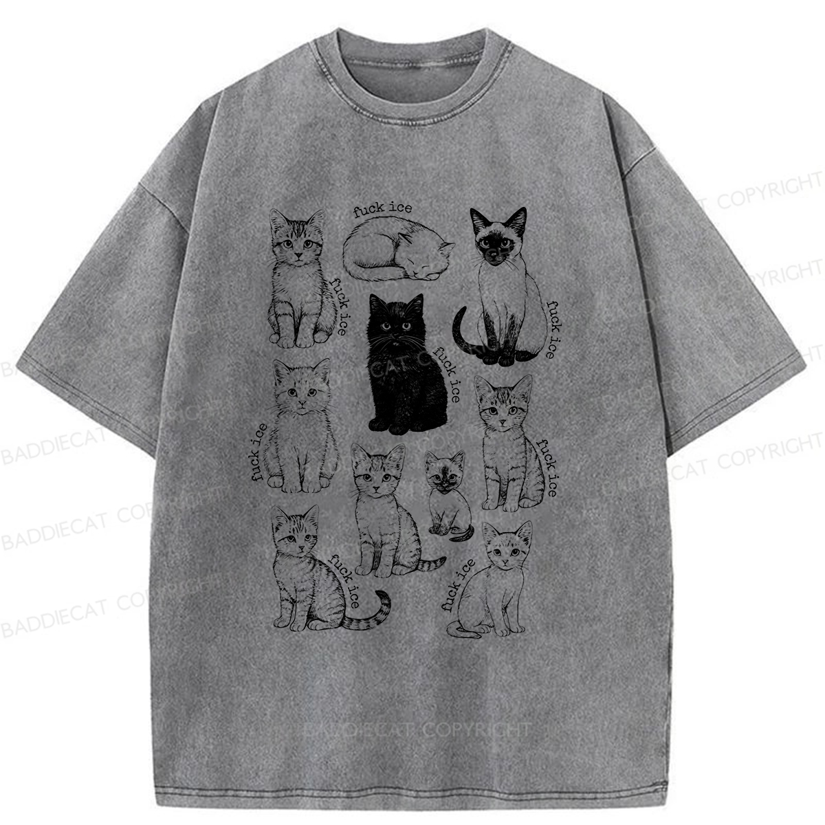 Baddiecat Don't Have Ice Cube Cats Washed T-shirt