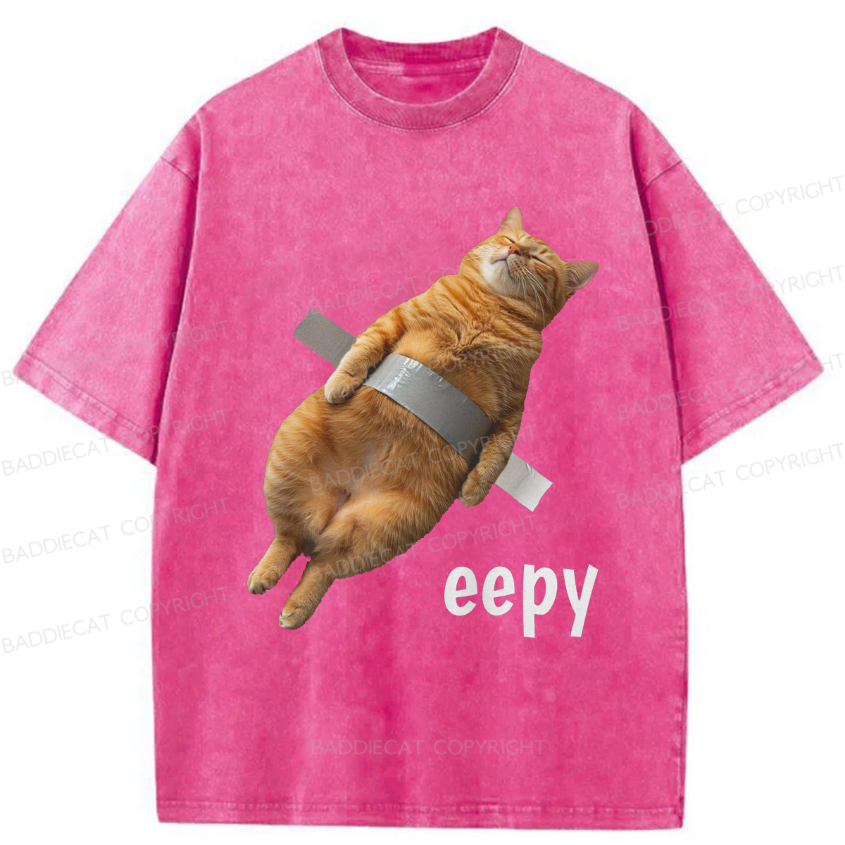 Baddiecat Duct Tape Eepy Cat Washed T-shirt