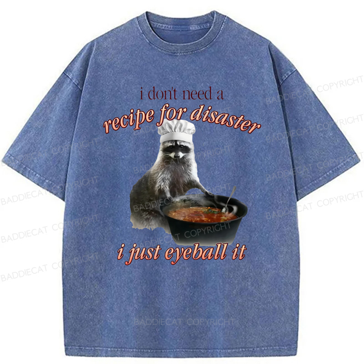 Baddiecat I Don't Need A Recipe For Disaster Washed T-shirt