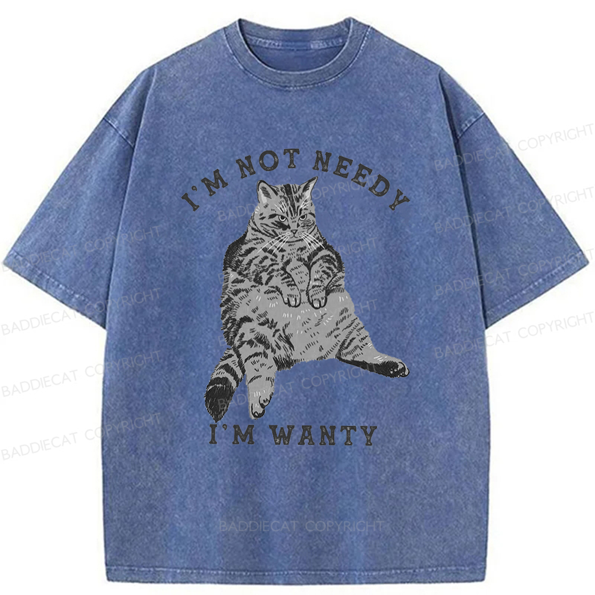 Baddiecat I Am Not Needy I Am Wanty Washed T-shirt
