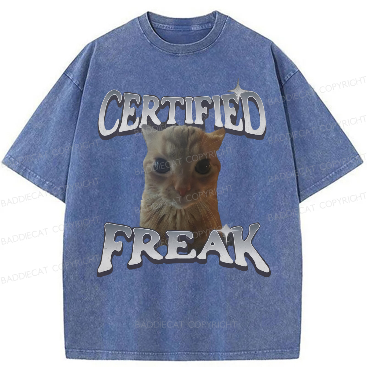 Baddiecat Certified Freak Funny Cat Washed T-shirt